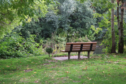 Bench near launch with access and companion seating on grass